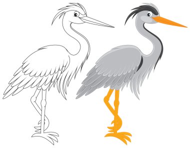 balıkçıl
