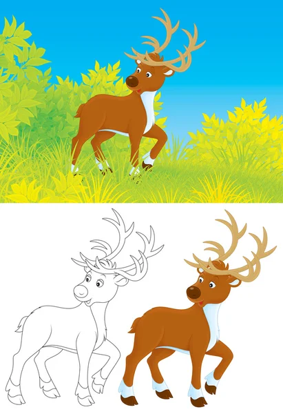 Reindeer — Stock Photo, Image