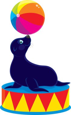 renkli top oynarken sirk deniz ayısı