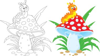 mantar üzerinde mutlu tırtıl.