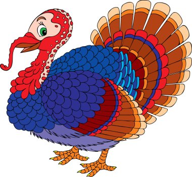 Turkey cock clipart