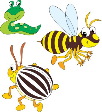 Wasp, Patates böceği ve sümüklü böcek
