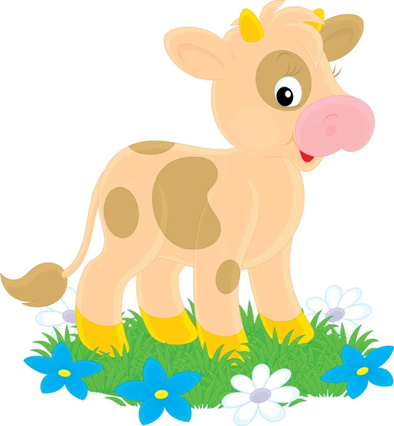 Carino marrone macchiato vitello mucca — Vettoriale Stock