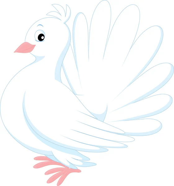 Pigeon blanc — Image vectorielle