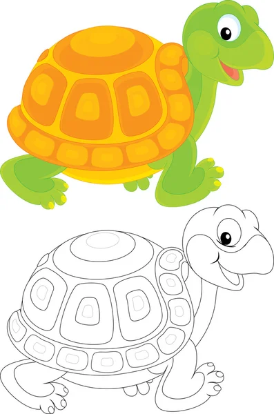 Tortue — Image vectorielle