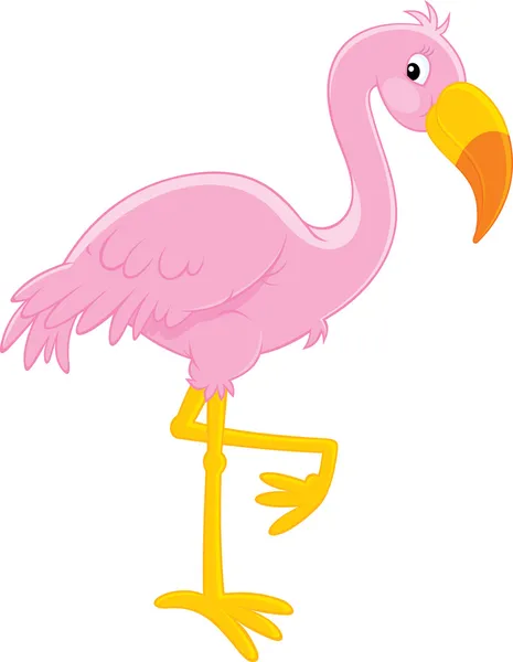 Pembe flamingo — Stok Vektör