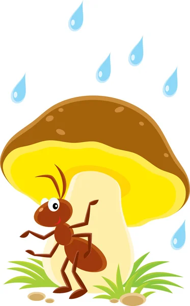 Petite fourmi brune assise sous un gros champignon sous la pluie — Image vectorielle