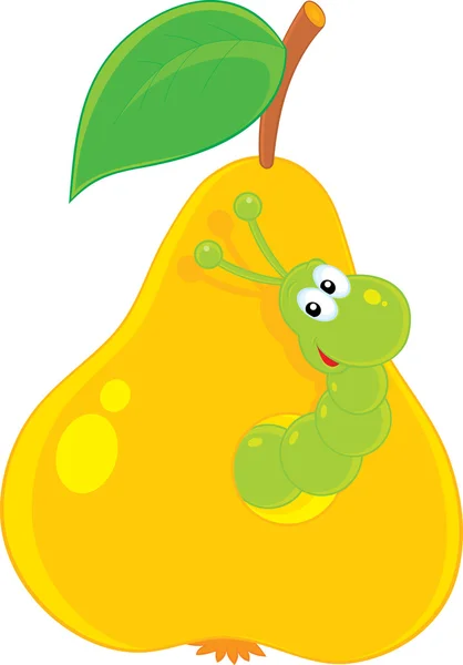 Green worm looking out of a hole in a yellow pear — Stock Vector
