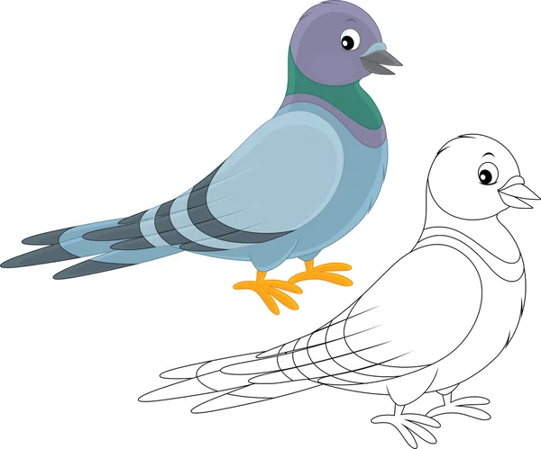 Vector