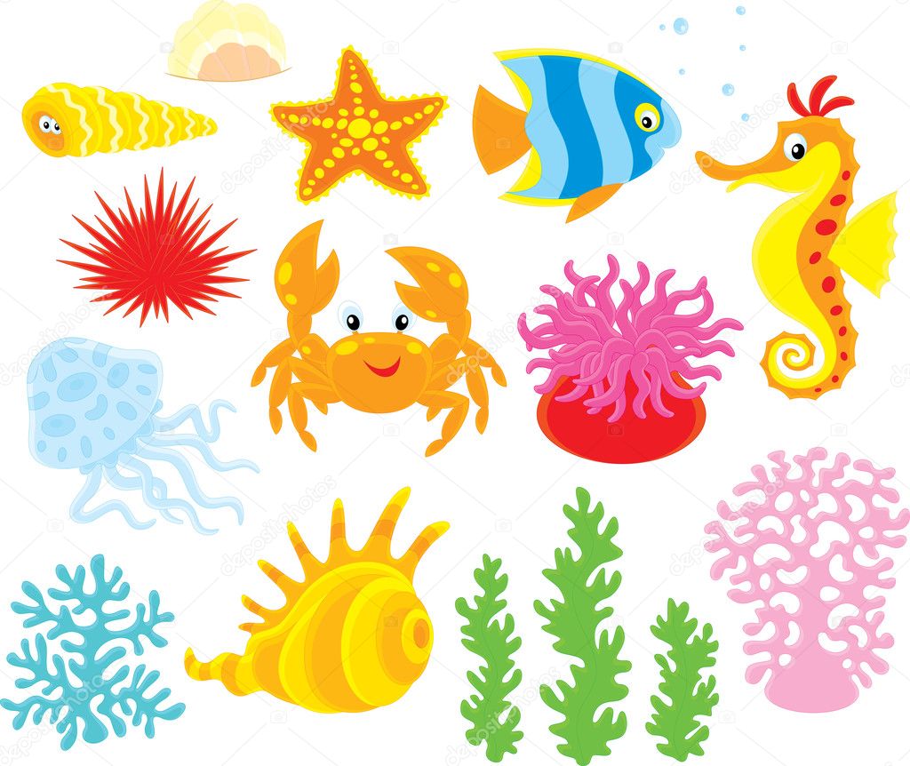 Sea animals