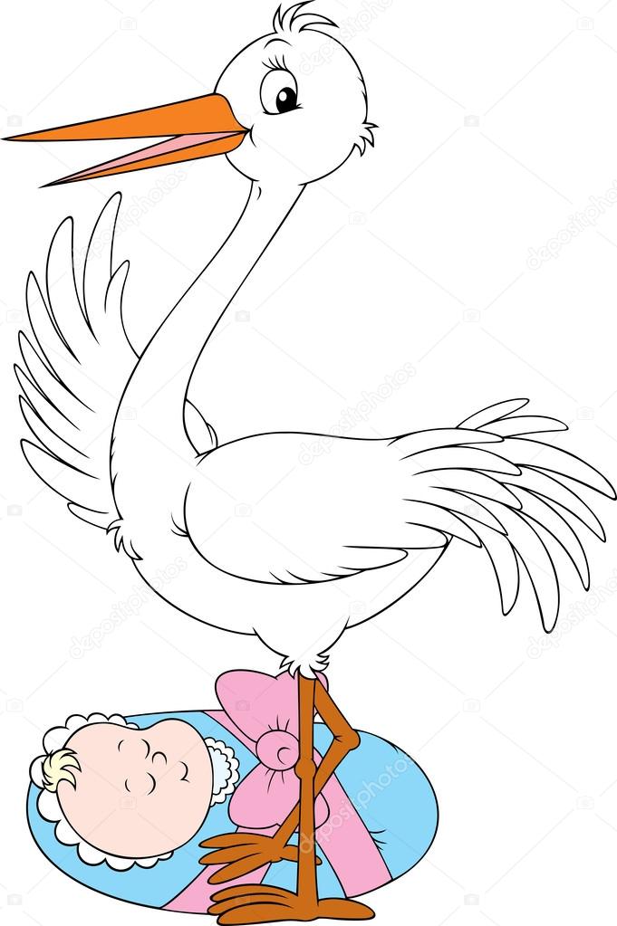 Stork and newborn