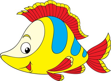 Mercan Balığı