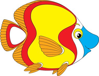 Mercan Balığı