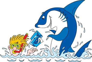 büyük beyaz köpekbalığı için fotoğraflar