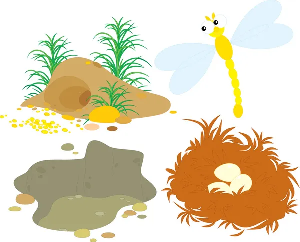 Hole, pit, nest and dragonfly — Stock Vector