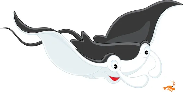 Ray Manta et krill — Image vectorielle