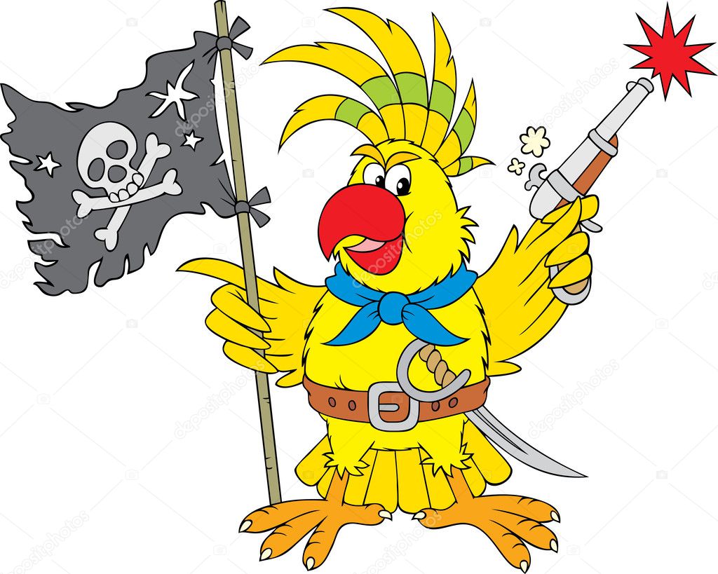 Parrot pirate