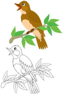 Nightingale clipart