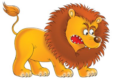 Aggressive young male lion