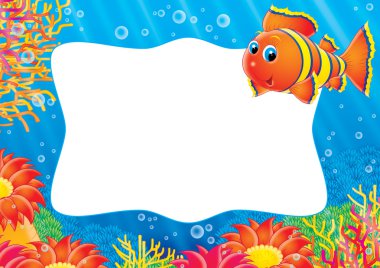 turuncu ve sarı renkli palyaço balığı çerçeve