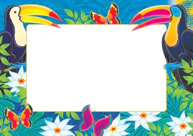iki toucans çerçeve
