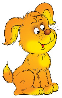 oturma ve sağa bakan bir köpek yavrusu.