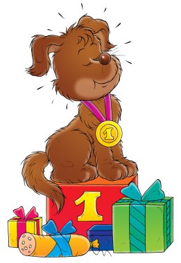ilk yer madalya giyen başarılı köpek