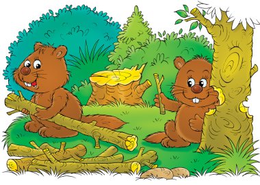 iki beavers bir baraj inşa