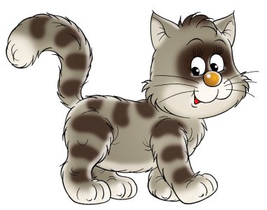 sağa doğru yürüyen kahverengi çizgili kedi