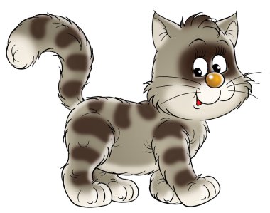 Brown striped cat walking to the right clipart