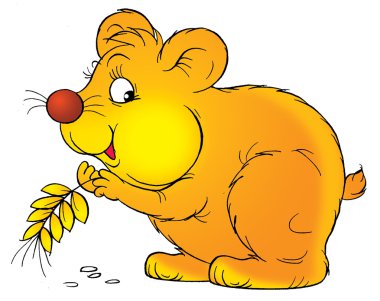 sevimli hamster buğday taneleri yaptığı yanaklar depolama