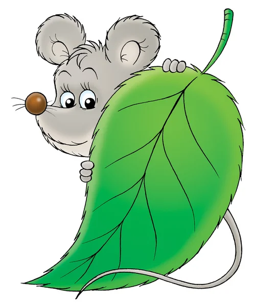Мышь, стоящая за зеленым листом — стоковое фото