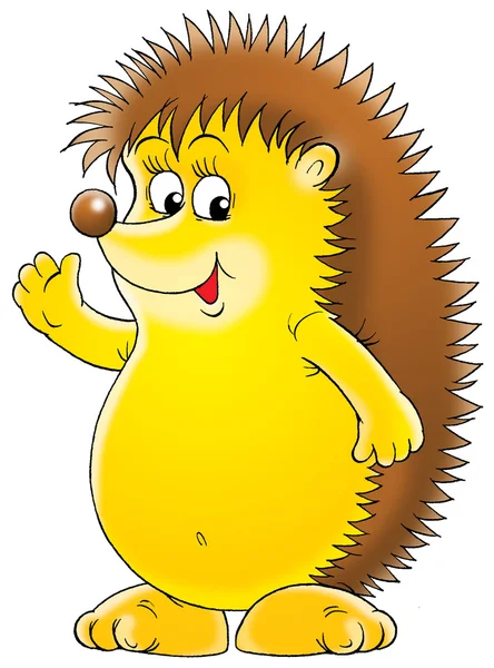 Friendly hedgehog — Stock Photo, Image