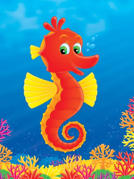 Happy red seahorse — Stock Photo, Image