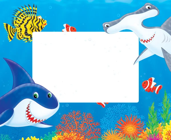 Fish and shark frame — Stock Photo, Image