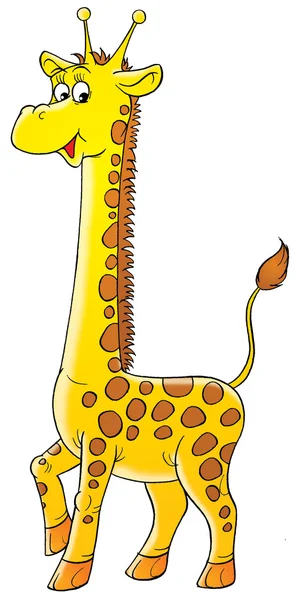 Girafe bébé tachetée — Photo