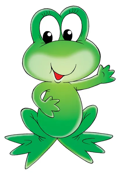 Grüner Frosch — Stockfoto