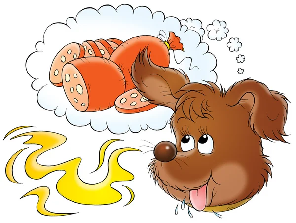 Feliz día de cachorro soñando con sausag —  Fotos de Stock