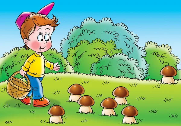 Liten pojke bär en korg och plocka svamp — Stockfoto
