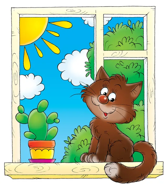 Niedliche braune Hauskatze sitzt neben einem Kaktus in einem Fenster — Stockfoto