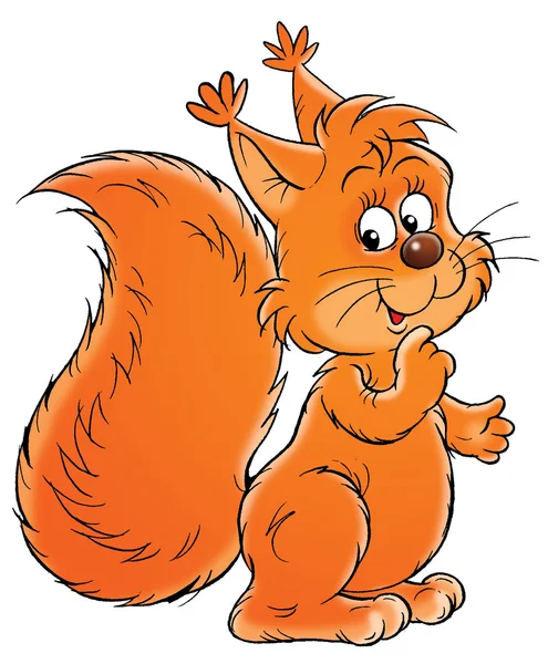 dost gür kuyruklu turuncu sincap