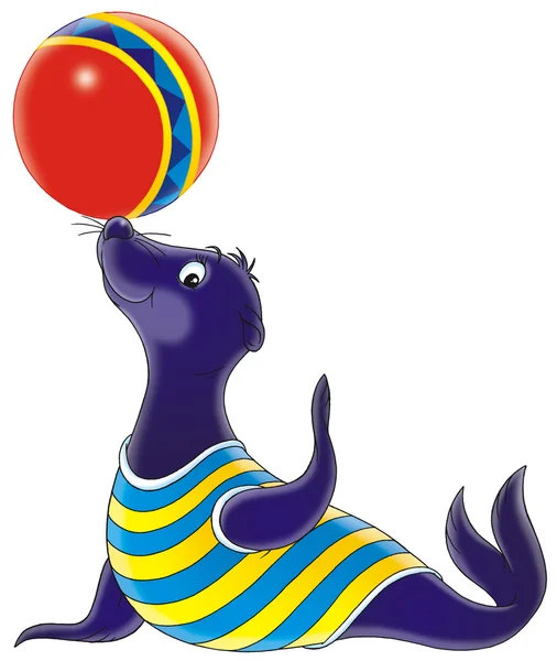 Sea lion balancing a colorful ball on his nose — Stock Photo, Image