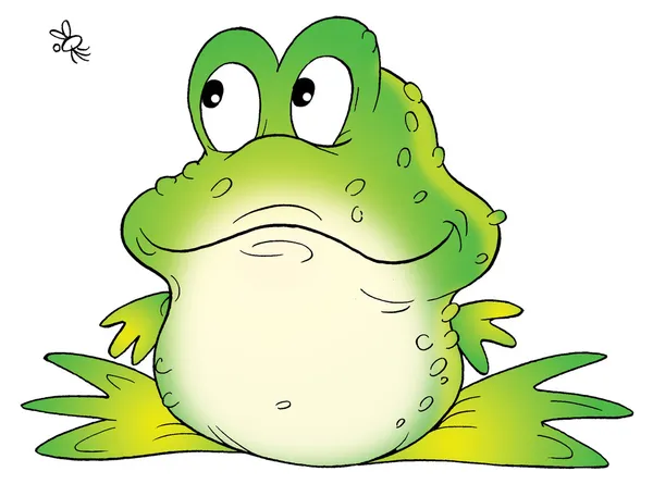 Ładny warty zielona żaba — Zdjęcie stockowe