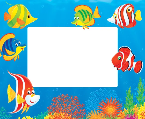 Fish and coral reef frame — Stock Photo, Image