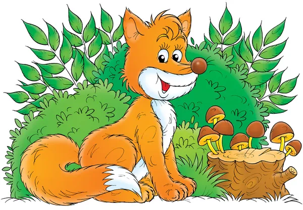 Çalılıkların oturan tilki