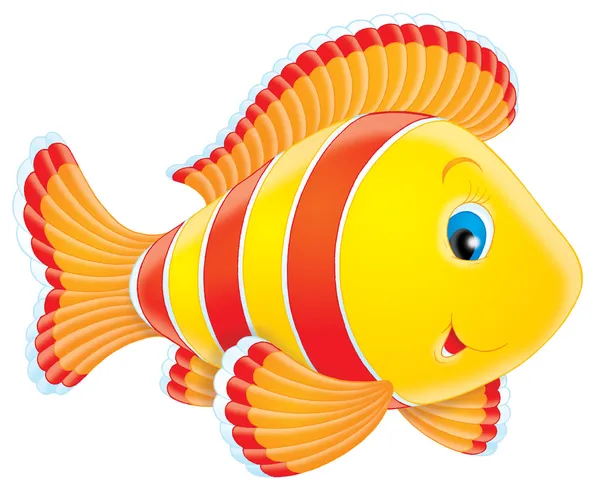 Kolorowe ryby — Zdjęcie stockowe