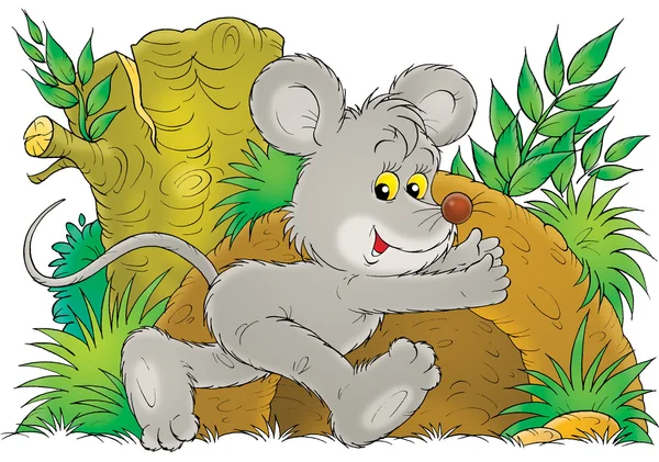 Sarı gözlü sevimli gri fare