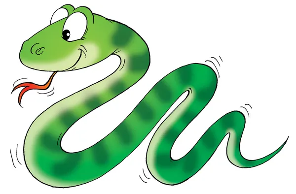 Şerit desenleri ile sevimli yeşil yılan — Stockfoto