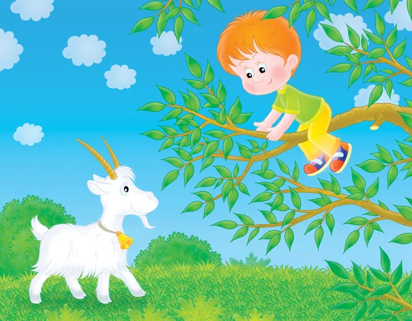 Boy in a tree over a goat. — Stock Photo, Image