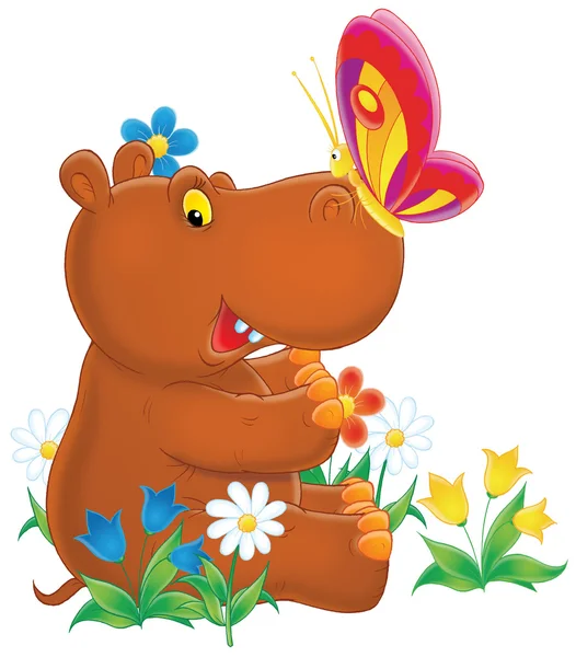 Hippopotamus and butterfly — Stock Photo, Image